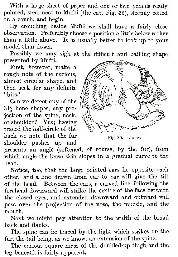 Drawing Animals with Easy Steps