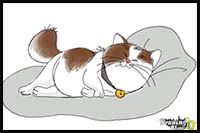 How to Draw Mochi from Big Hero 6