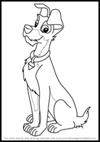 How to Draw Tramp from Lady and the Tramp