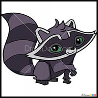 How to Draw Raccoon, Animal Jam