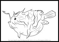How to Draw an Anglerfish