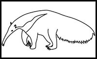 How to Draw a Giant Anteater