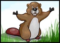 How to Draw a Beaver