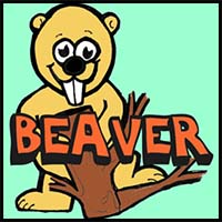 How to Draw Cartoon Beavers in Easy Steps Drawing Lesson