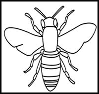 How to Draw a Bee