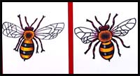 How to Draw a Realistic Bee