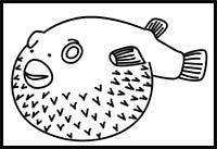 How to Draw a Puffer Fish
