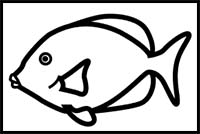 How to Draw a Blue Tang