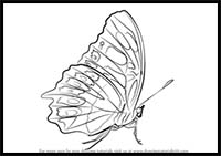 How to Draw a Malachite