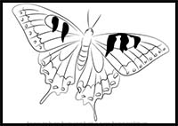 How to Draw a Swallowtail Butterfly