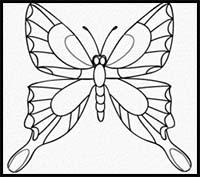 How to Draw a Butterfly