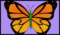 How to Draw a Butterfly