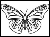 How to Draw a Butterfly