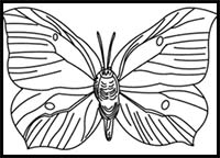 How to Draw a Brimstone