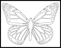 How to Draw a Monarch Butterfly