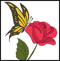 How to Draw a Butterfly on a Flower
