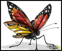 How to Draw a Butterfly Step by Step