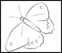 How to Draw a Butterfly