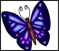 How to Draw a Simple Butterfly