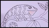 How to Draw a Chameleon