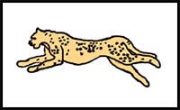 How to Draw a Cheetah