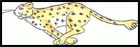 How to Draw a Cheetah