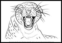 How to Draw a Cheetah Growling