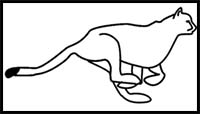 How to Draw a Cheetah