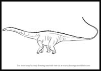 How to Draw a Diplodocus