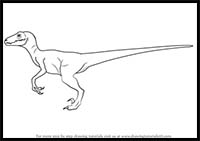 How to Draw a Velociraptor