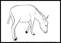 How to Draw a Donkey
