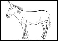 How to Draw an African Wild Ass