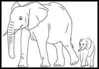 How to Draw an Elephant Family