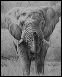 How to Draw an Elephant