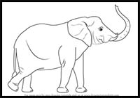 How to Draw an Elephant with its Trunk Up