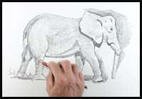 How to Draw an Elephant