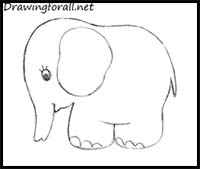 How to Draw an Elephant for Kids