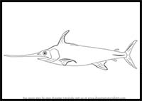How to Draw a Sword Fish
