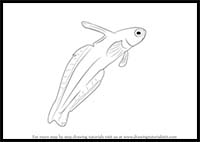 How to Draw a Fire Fish