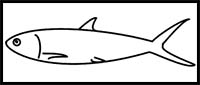 How to Draw a Fish