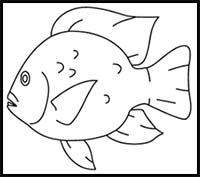 How to Draw a Tilapia