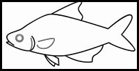 How to Draw a Fish