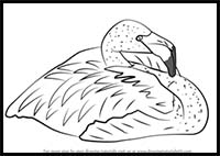 How to Draw a Pink Flamingo