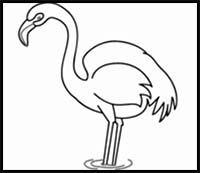 How to Draw a Flamingo