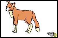 How to Draw a Fox