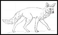 How to Draw a Red Fox