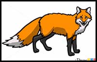 How to Draw Fox, Wild Animals