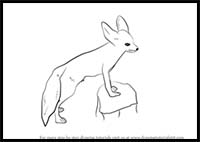 How to Draw a Fennec Fox