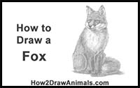 How to Draw a Fox (Sitting)