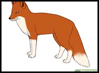 How to Draw a Fox